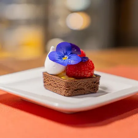 Hotel Felix - Felix 4*